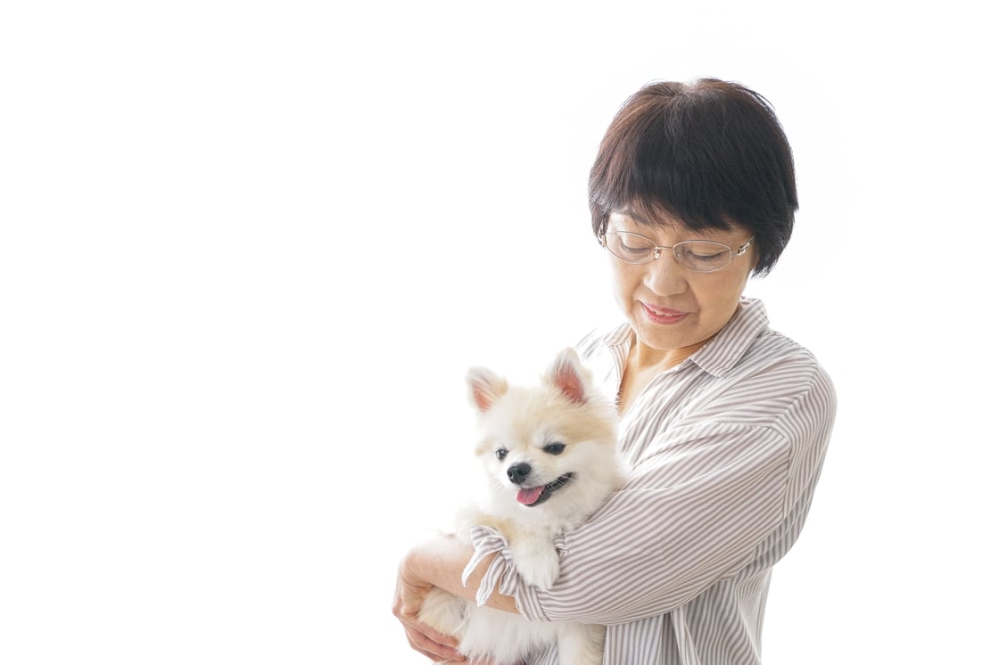 動物とふれあうデイサービス