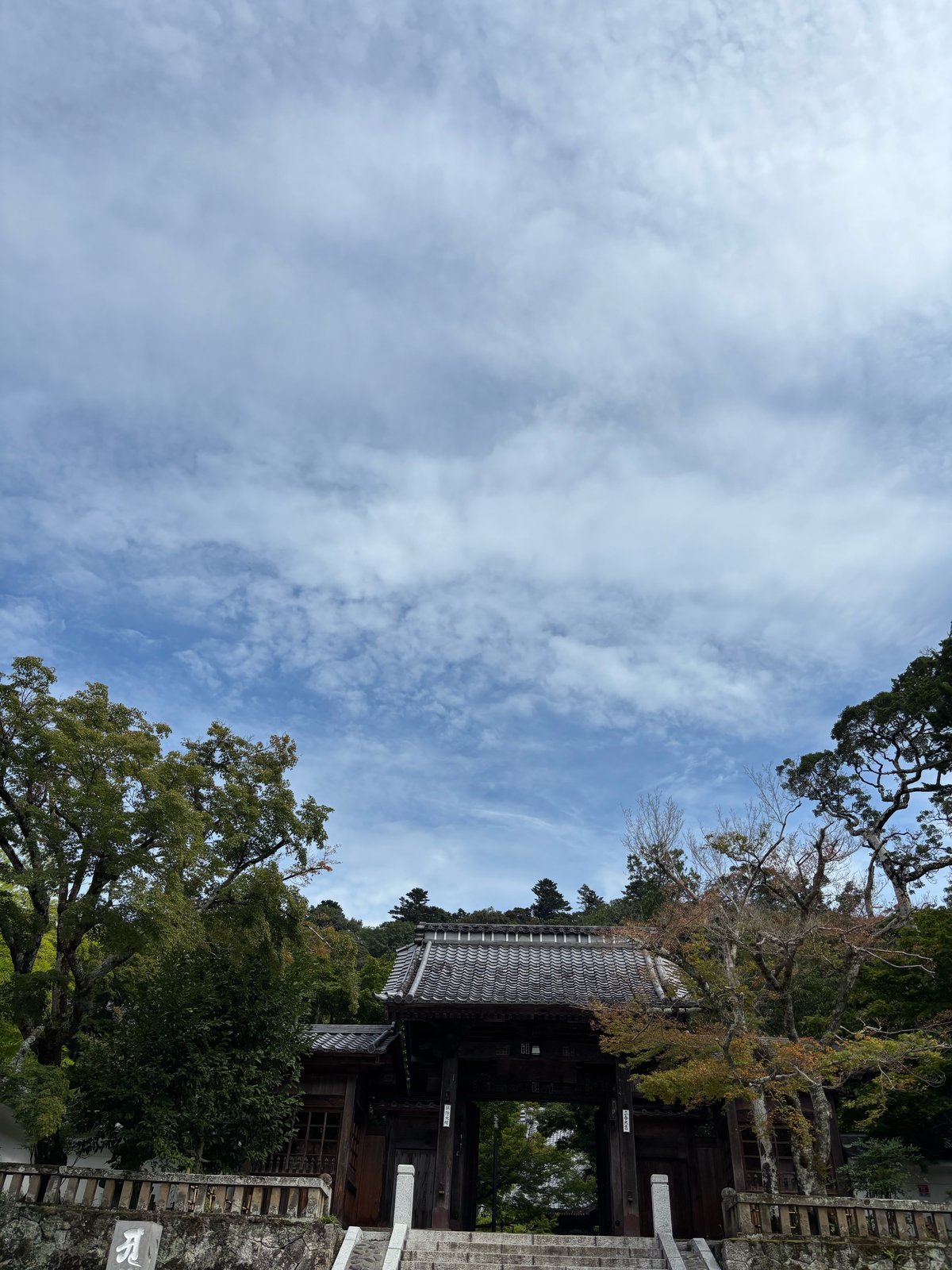 「伊豆へ行ってきました」