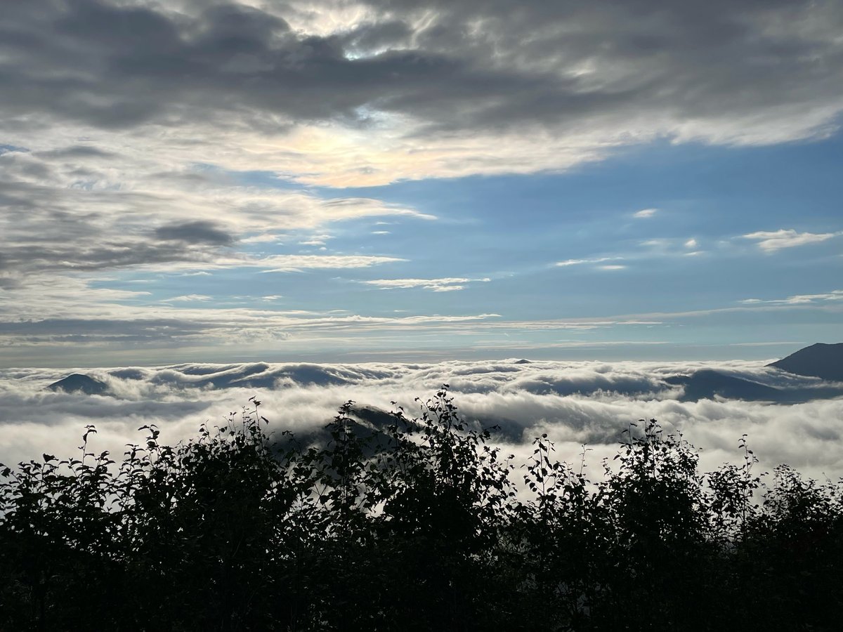 「雲海☁」