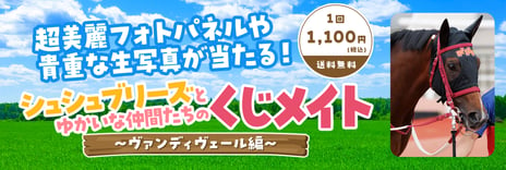 競走馬育成プロジェクト『リアルダビスタ』より
シュシュブリーズ第5子、ヴァンディヴェールの
デビュー2連勝記念オンラインくじ実施！
～全82種のオリジナル写真データを大放出～