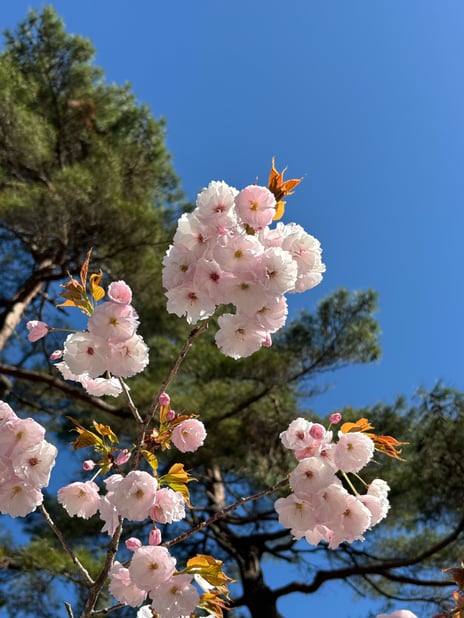 「６月のお知らせ」