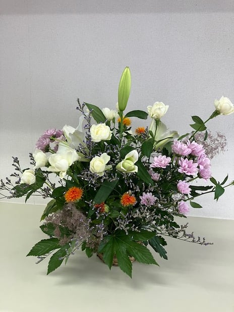 6月先生作品