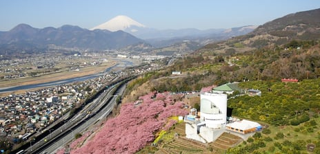 松田町ふるさと納税