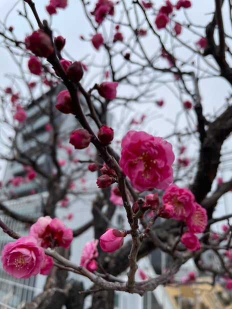 「２月のお知らせ」