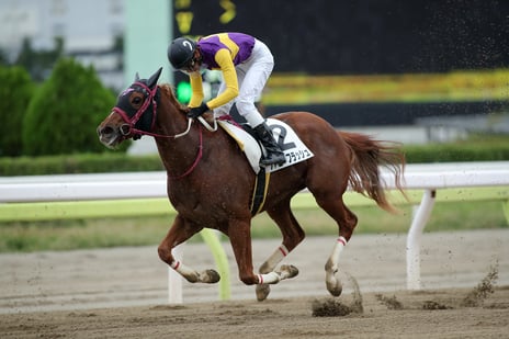 ～“みんなの競走馬”を育てていく「リアルダービースタリオン」～
即戦力の2歳馬「ファニーフラッシュ」次戦に向けた訓練の様子を生放送
「実験放送」新アイテムに「ファニーフラッシュ応援馬券」も登場