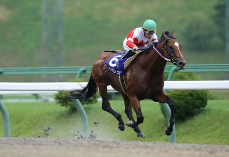 「盛岡競馬」「水沢競馬」の全レース生中継を「ニコニコ競馬チャンネル」で開始