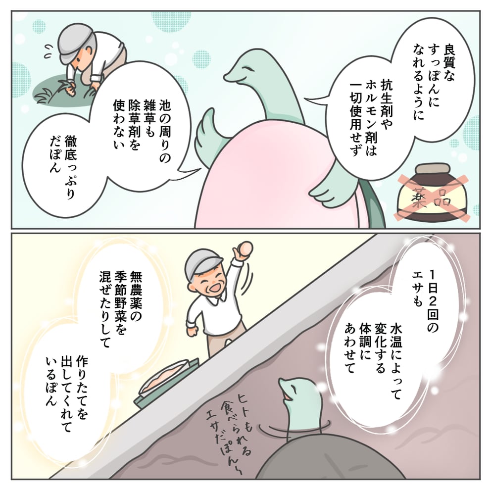 media